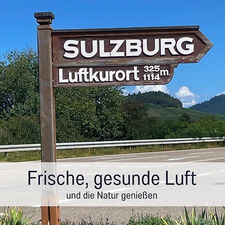 Ferienwohnungen Auszeit Langmatt Зулцбург Екстериор снимка