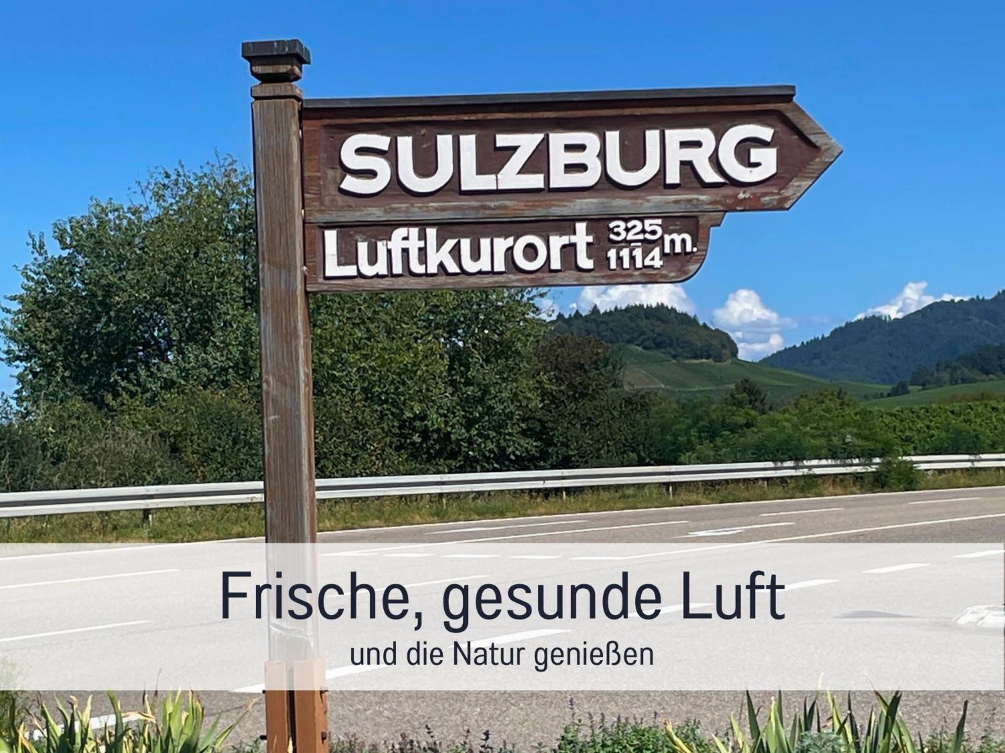 Ferienwohnungen Auszeit Langmatt Зулцбург Екстериор снимка