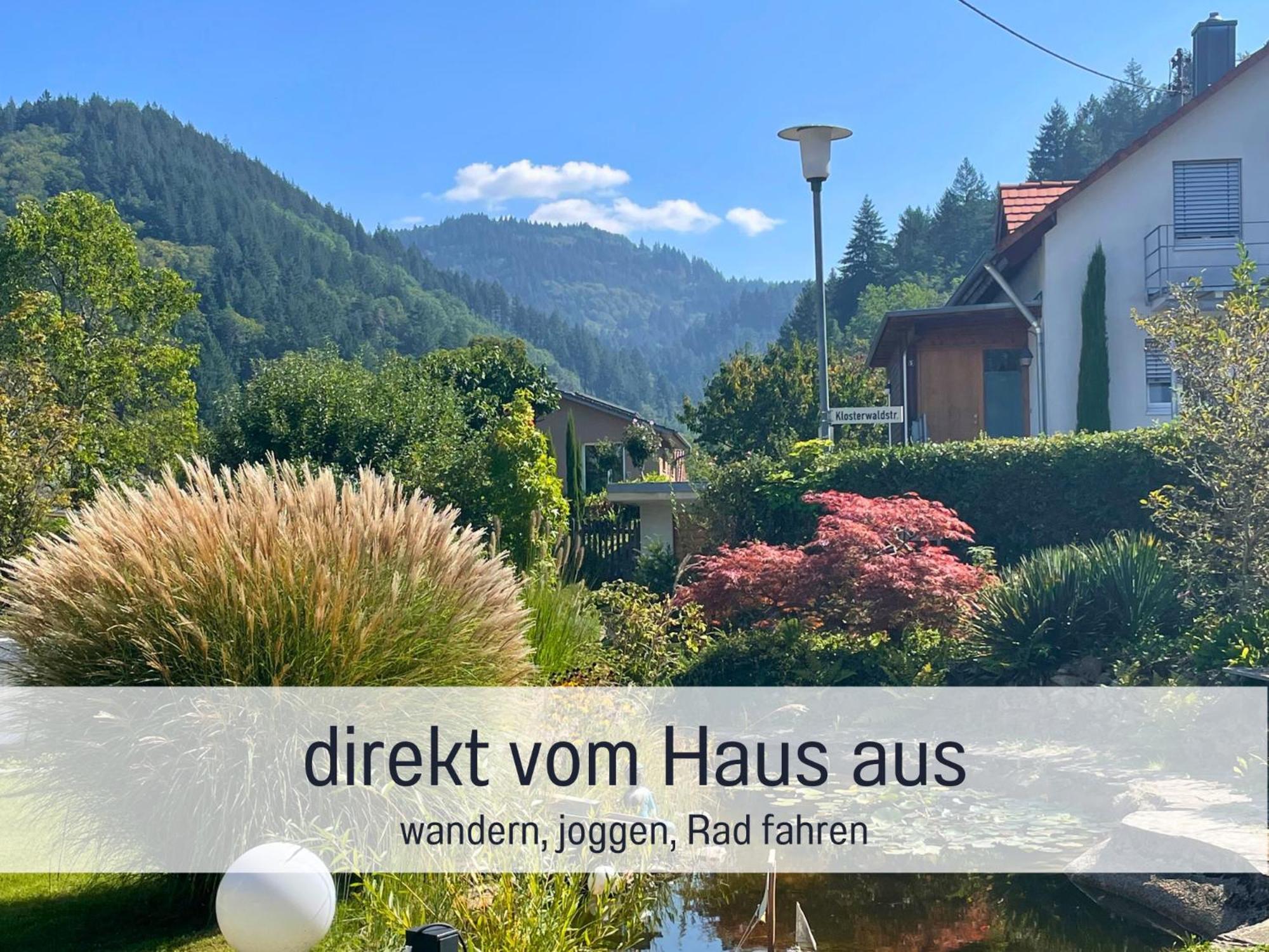 Ferienwohnungen Auszeit Langmatt Зулцбург Екстериор снимка