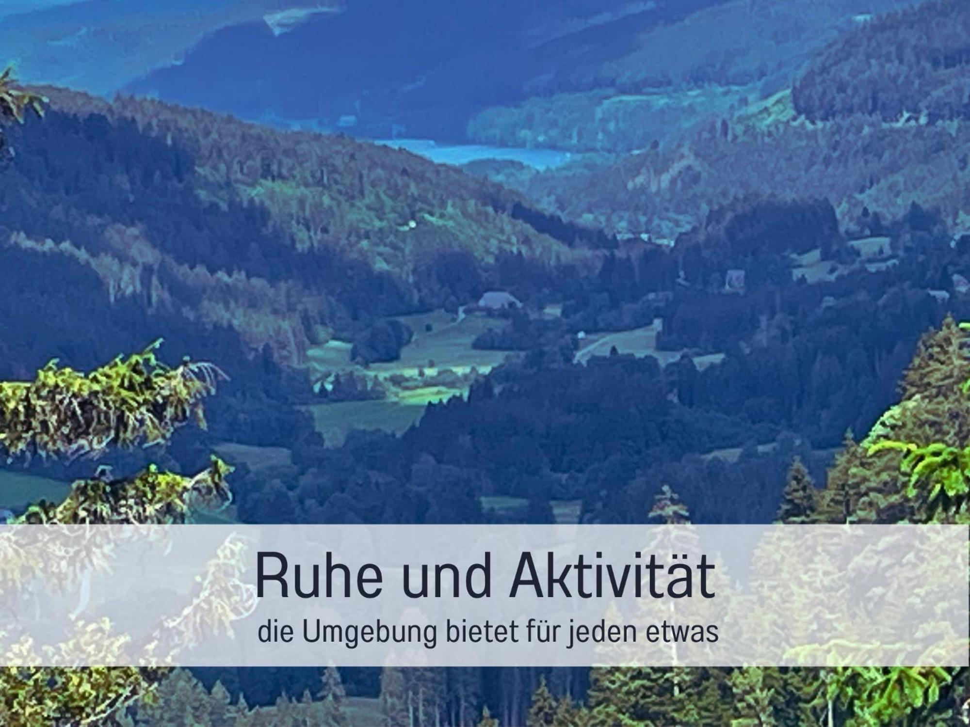 Ferienwohnungen Auszeit Langmatt Зулцбург Екстериор снимка